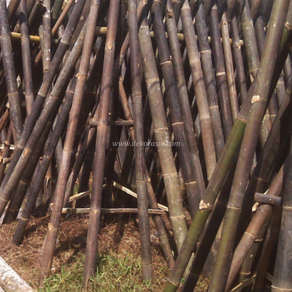 Black Bamboo Poles for Bamboo Fences and Bamboo Panels - Image 3