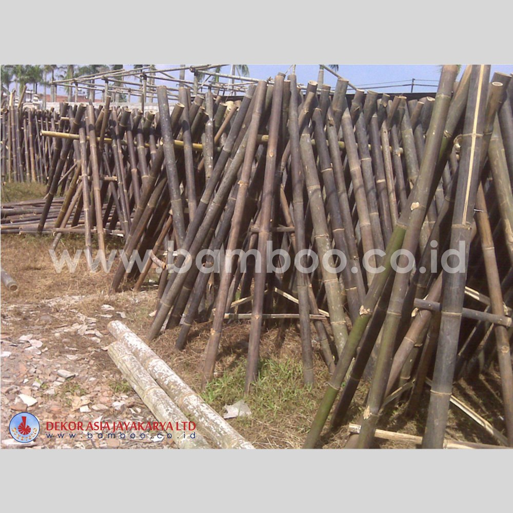 Black Bamboo Poles for Bamboo Fences and Bamboo Panels - Image 4